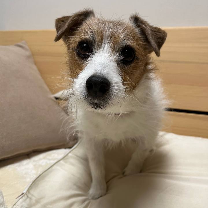 A452657d 78cc 41f8 8701 e38beafeca5f 1710797115330