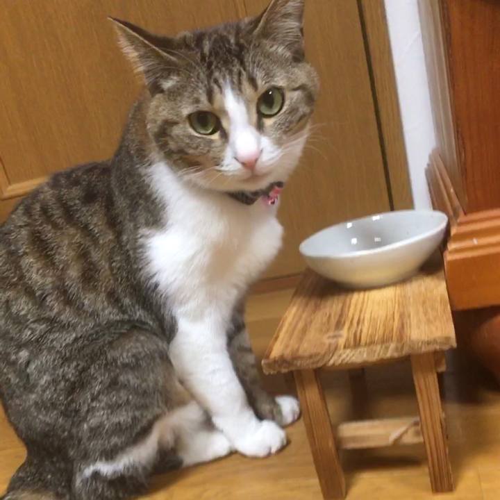 A4527034 13a2 46e7 a577 624212551017 1690026491898