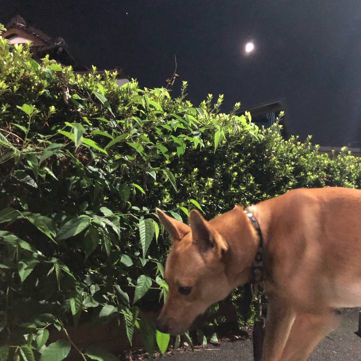 A4527bab 4e65 4b7b 9ff4 a034741b4fdf 1562942120399