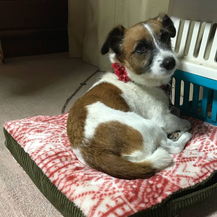 A4527bb7 8a2c 4643 9a72 4feddc5ec41f 1538478507818