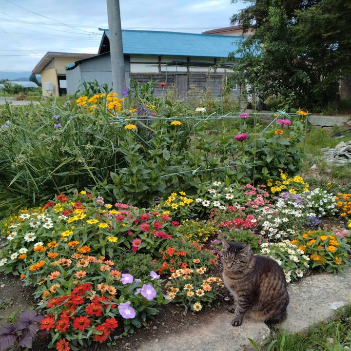 A4529143 9190 4c3f a94e 22bf282a2372 1719871696892