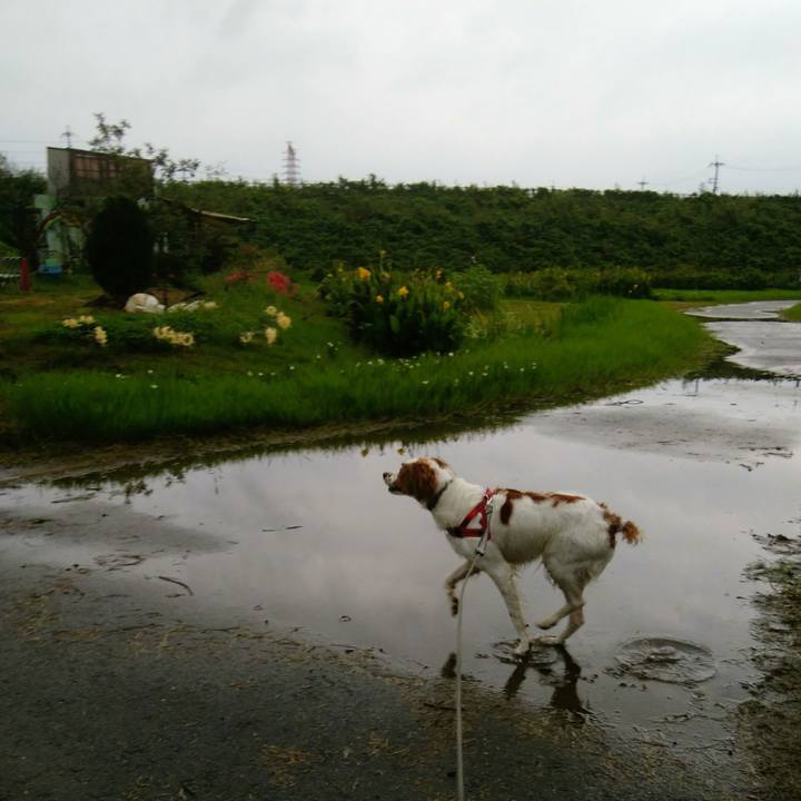 A452d19c 07cc 45fa a3c9 39c75fe9b6f2 1537579918550