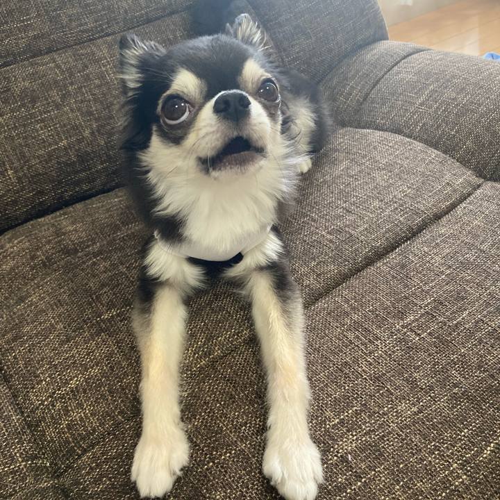 A453073a 1b46 44f1 9235 a6293ba93d2f 1692096414359