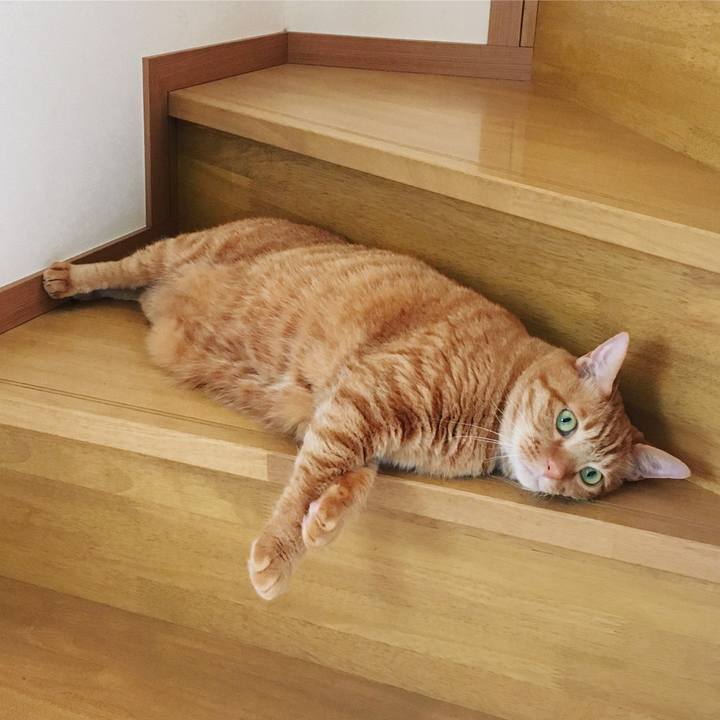 A4536419 6ae2 4384 9495 1c1ae3ab142f 1598008049482