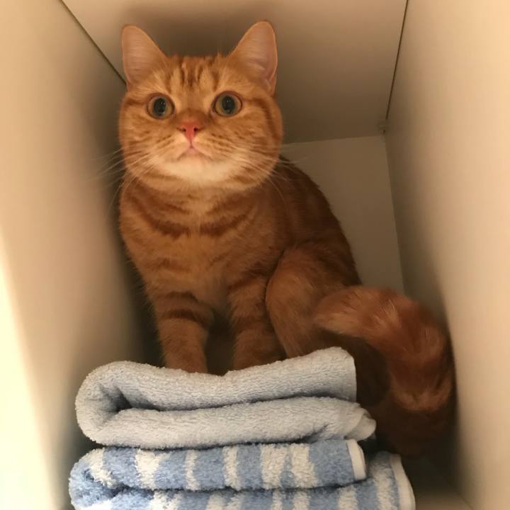 A4538693 d99c 45cc 9a56 59e9d6f9e015 1512190854779