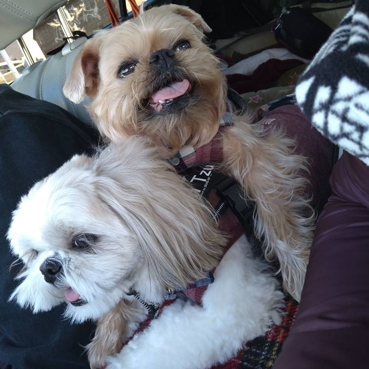 A453b74c de24 44d9 bcaa 25fc9c1312a8 1645158148828