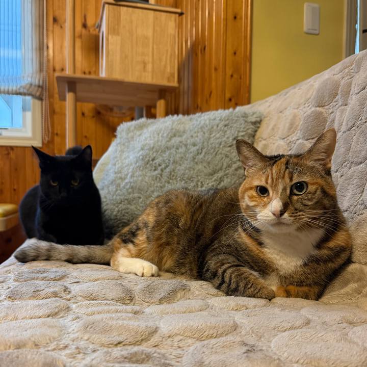 A453bb19 efe2 4ded 9d7c 89cfff0c76f1 1773530890909