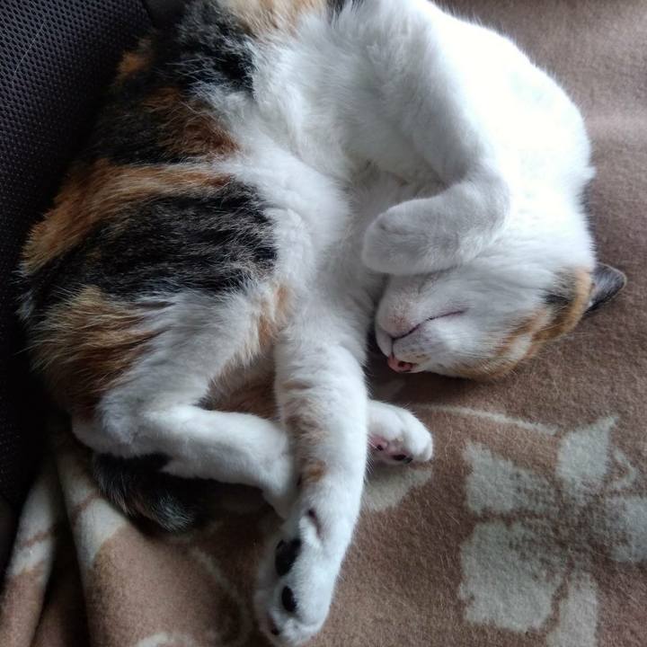 A453ec65 07fa 428d 9494 d0fa13b5b1e8 1597559555638