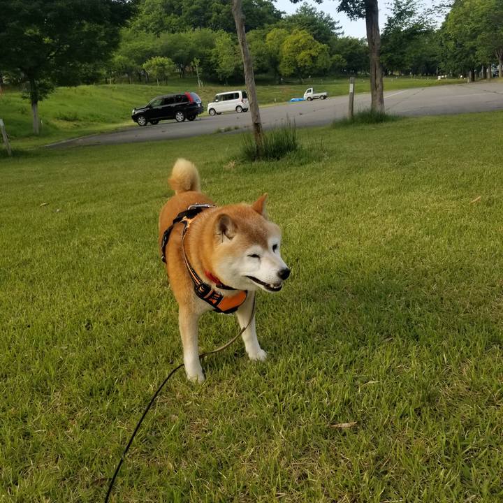 A453fee6 ff37 42b4 9031 aafe12a71c33 1716366861305