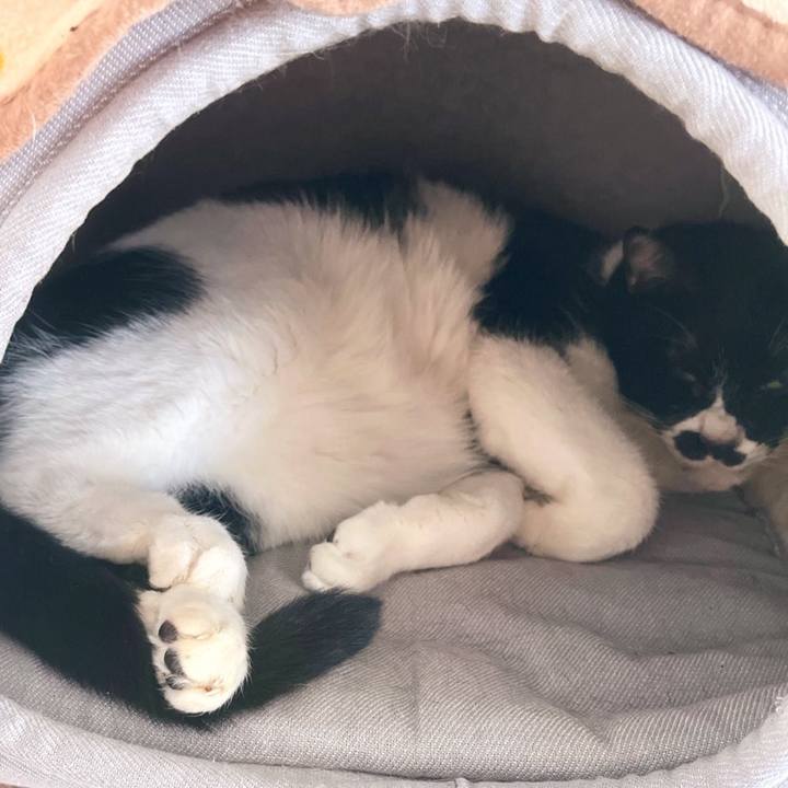 A4541157 b511 4e7b 84eb 0b3937eac389 1708742080003