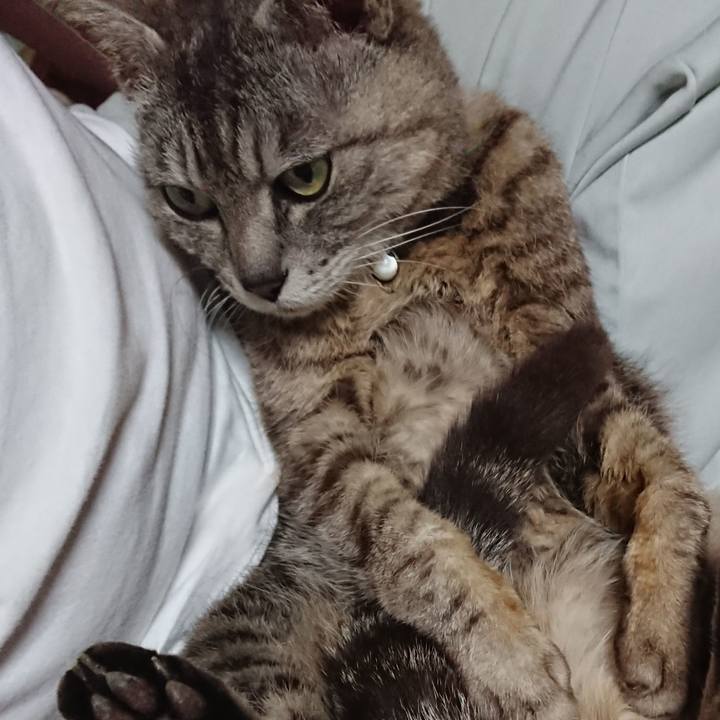 A454186c efa3 433b 9b6e f1fa46c8a4d3 1562321888247