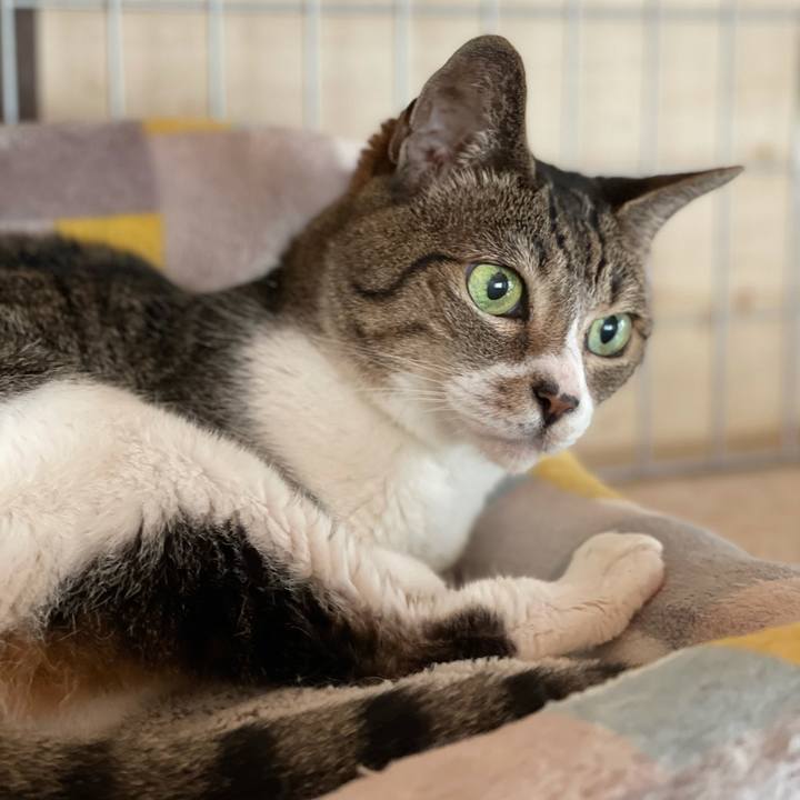 A4541e74 170c 46b7 ad15 b9270b80b64d 1628296587738