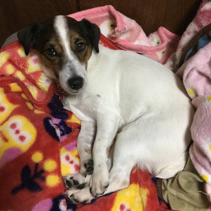 A4546045 dcbb 4643 ada3 538f4f37d558 1514547551237