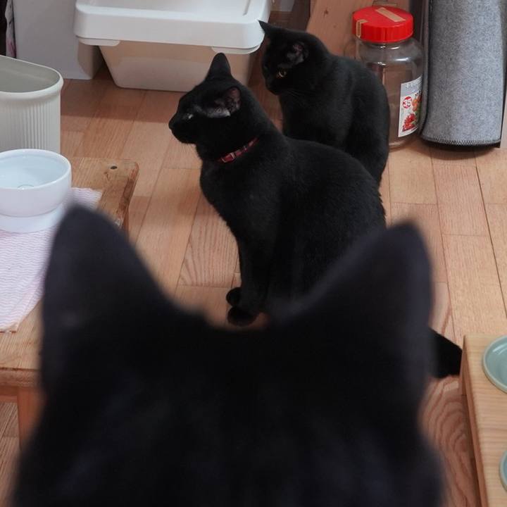 A454aa89 0db7 421b be2a 6cf32896cefc 1596671655807