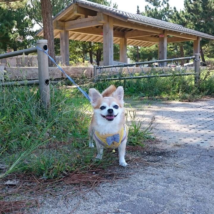 A454c1b6 d2f5 4874 930c 16b1c401be9a 1558925498471