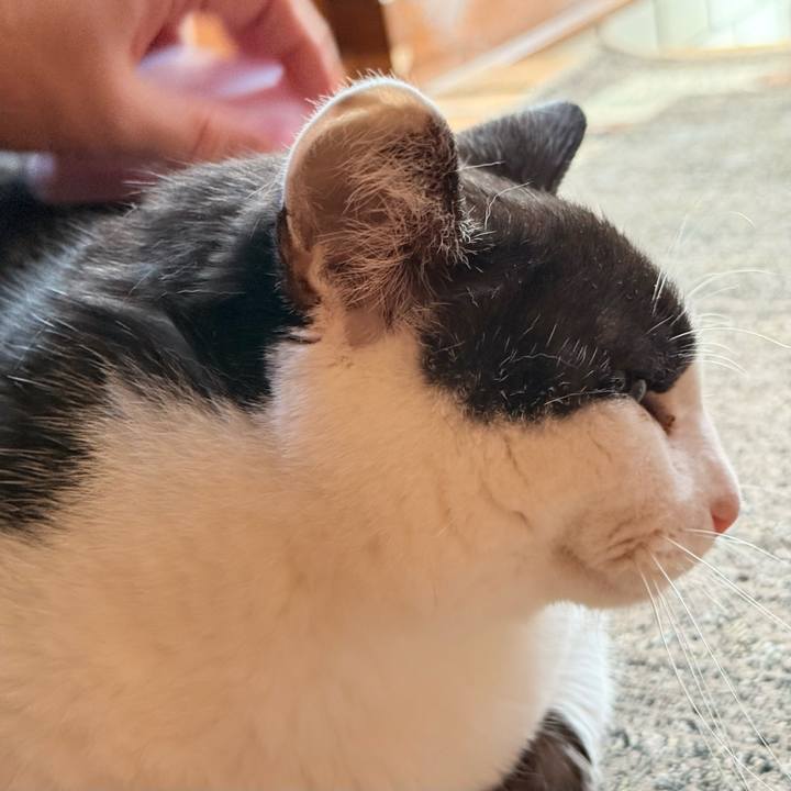 A454c59f 5d1e 47aa ab0d 2525dbdd281c 1746753812009