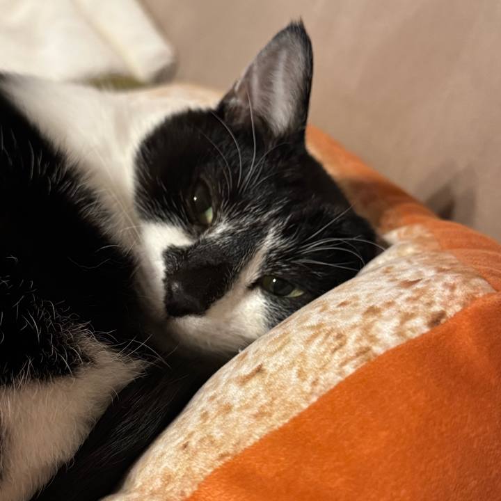 A45510c0 afc7 49ee 8577 317d538e52f8 1768445985139