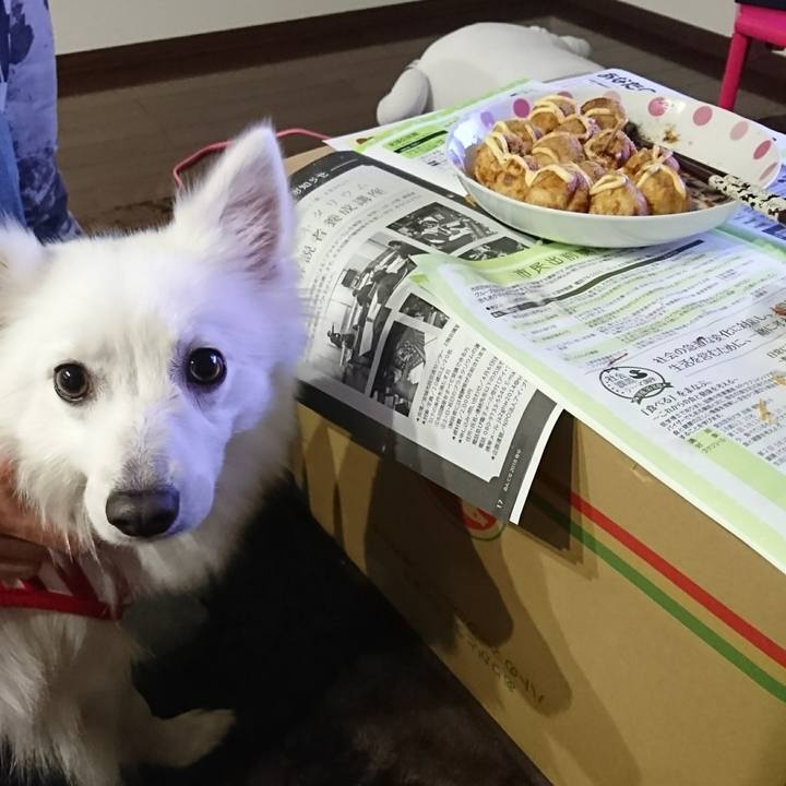 A45515b0 de50 4271 a82c 16cdfd2511c4 1521293572900