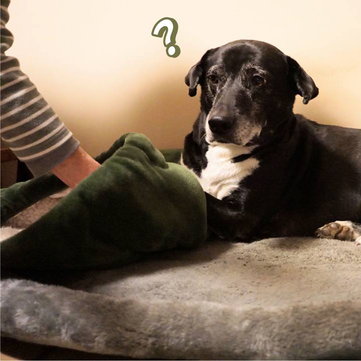 A455318a f8c7 49ce b29a 2e0adb6a180e 1770986991002