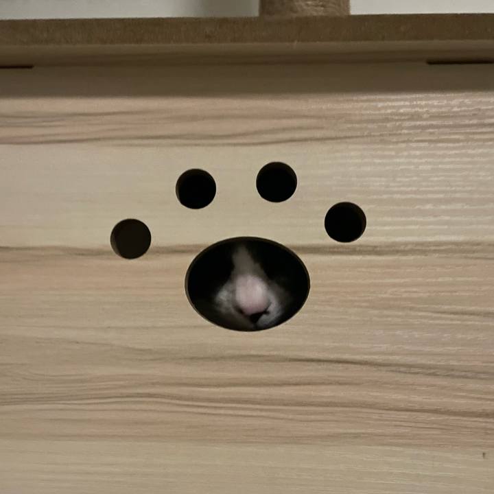 A4554f9e ebfe 4d90 a287 e00fa3ac1322 1681878802666