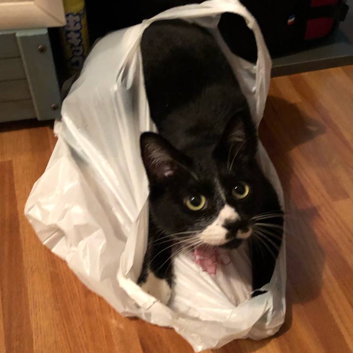 A4555384 c989 46fe 8f7d 13b1c328518c 1569125657568