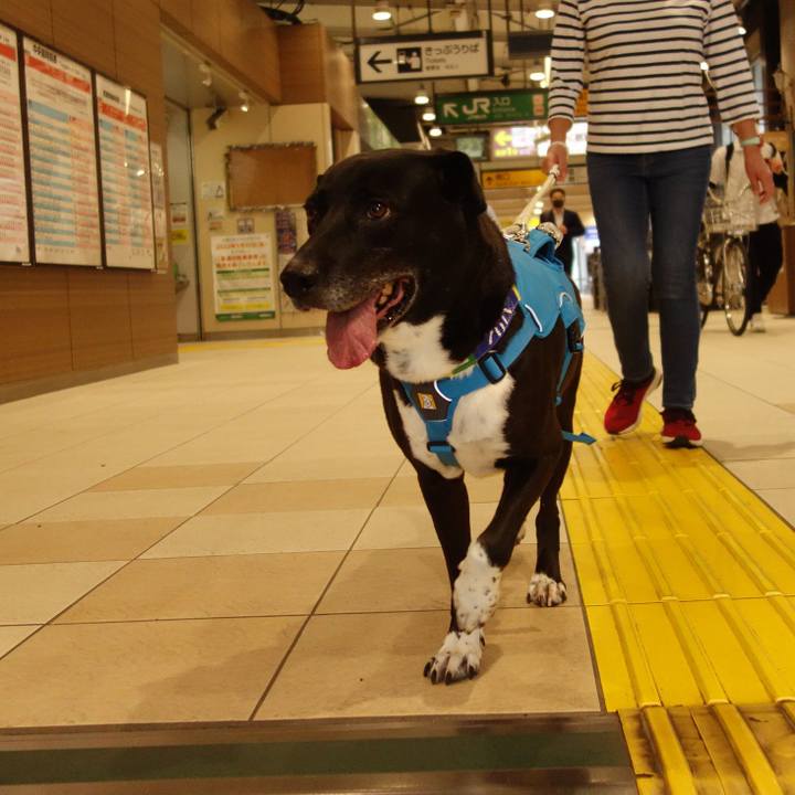 A455571d b435 47a2 94eb f7ae6ff2b909 1665881888726