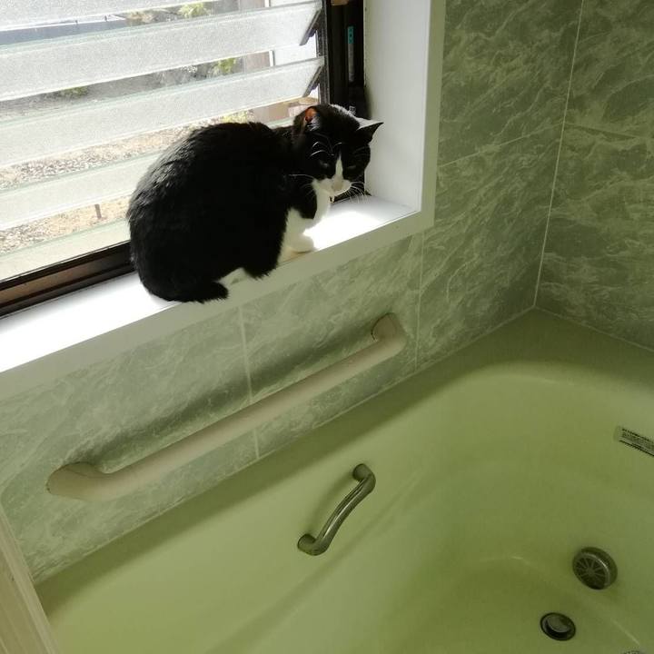 A4557bb3 daf8 4aee a5d0 77438b7ede7e 1554427118875