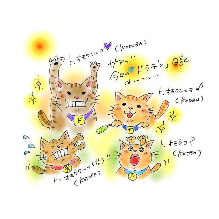 A455b667 3454 4b8e 94cf ca5a7b92b1c0 1582559868972