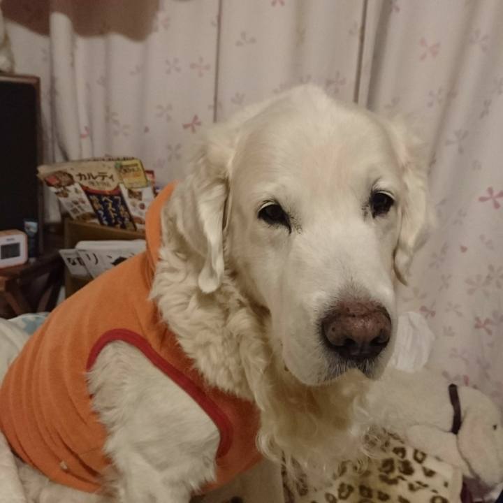 A455b78a cacb 44db 934a 20c6393d268d 1546024744216