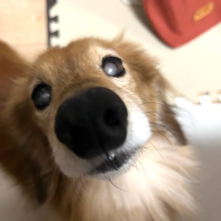 A455d5c9 540c 488b 872a 94332318bc52 1676725032046