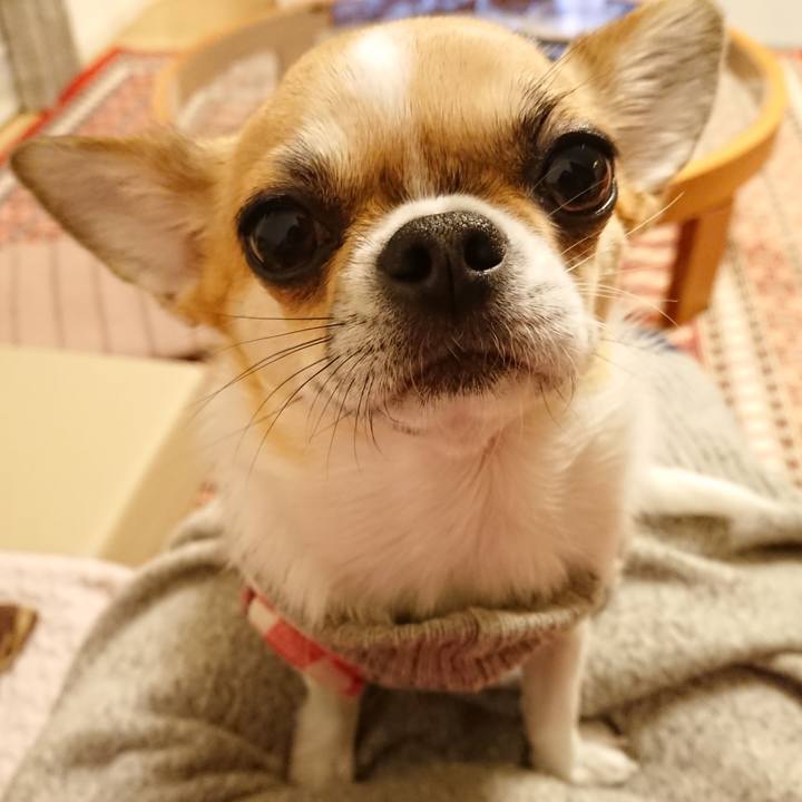 A455daa8 4b1e 4a2f baac df70c36fda1d 1583277102620