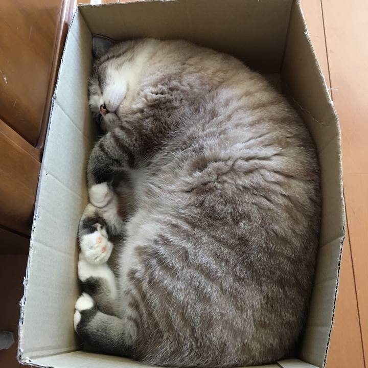 A455efaf 9012 4081 b25f 0a8b407e3771 1564103404378