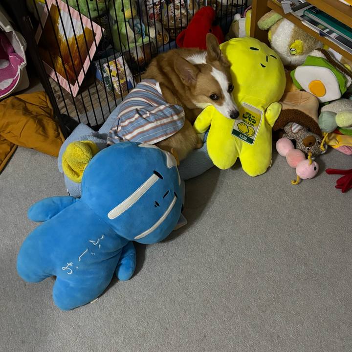 A455f790 aaed 4b28 8054 5070ae30cbfa 1757344888306