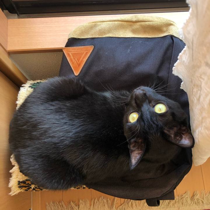 A4561d48 8f11 466a b0e3 ef2ca9ed6795 1547361191970