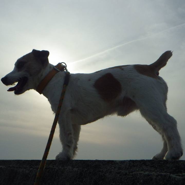 A45644fe 6f7d 4a06 8863 bd13b49d7e29 1557831716859