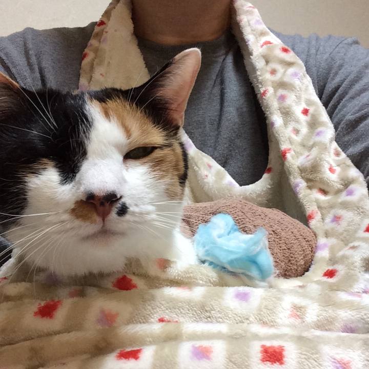 A4565fbe 2a91 415e 80b1 4d0300d66b11 1580302904573