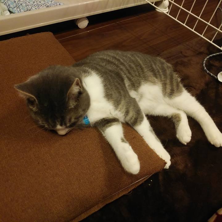 A456657d 3153 4a02 acf5 50988bf237a6 1574159665674