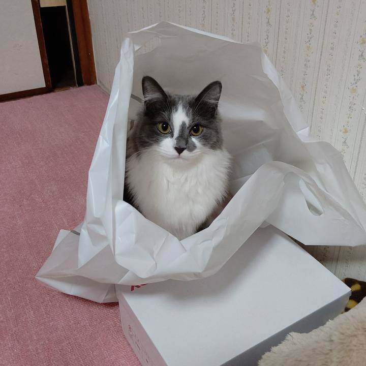 A456ec27 b306 4c8b 832d ae54b47415b2 1578911386350