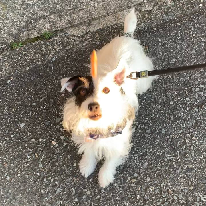 A45705a3 341a 4c38 832b 717ab6b2d2a7 1664612681171