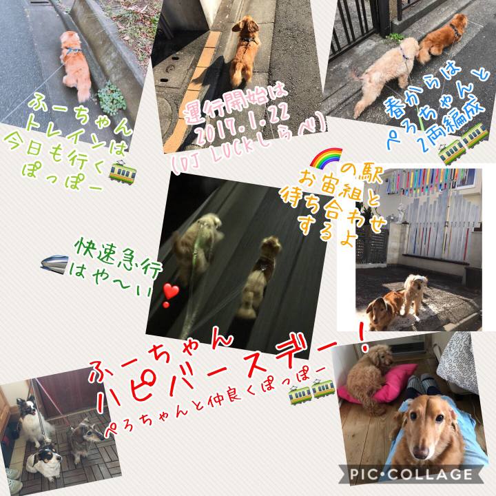 A45735f1 3187 41f9 94e7 81b646c1dace 1515581353162