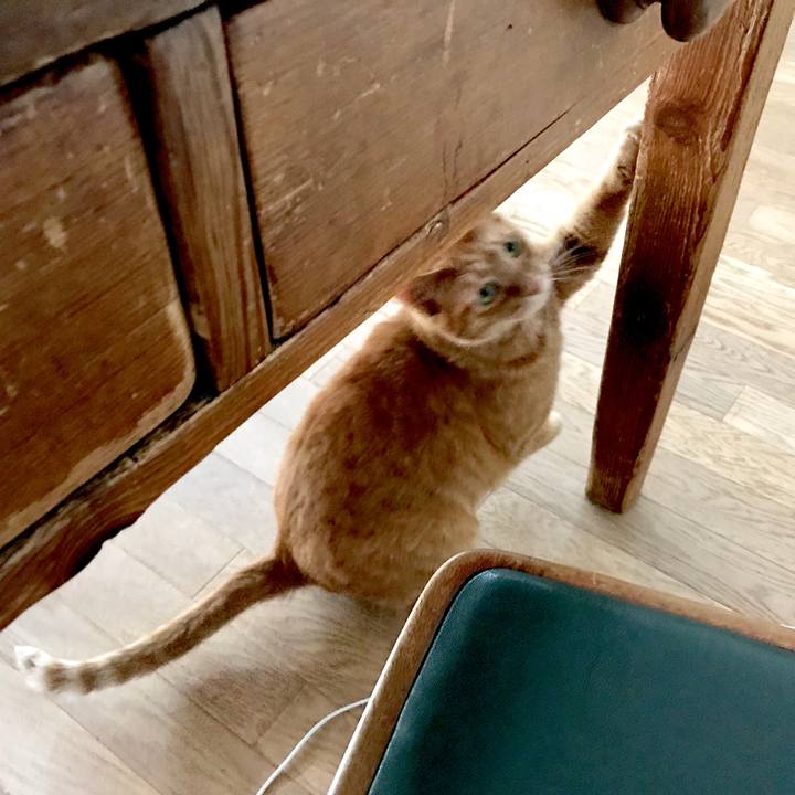 A4573888 37df 4500 a013 379cefcd0519 1531288073511