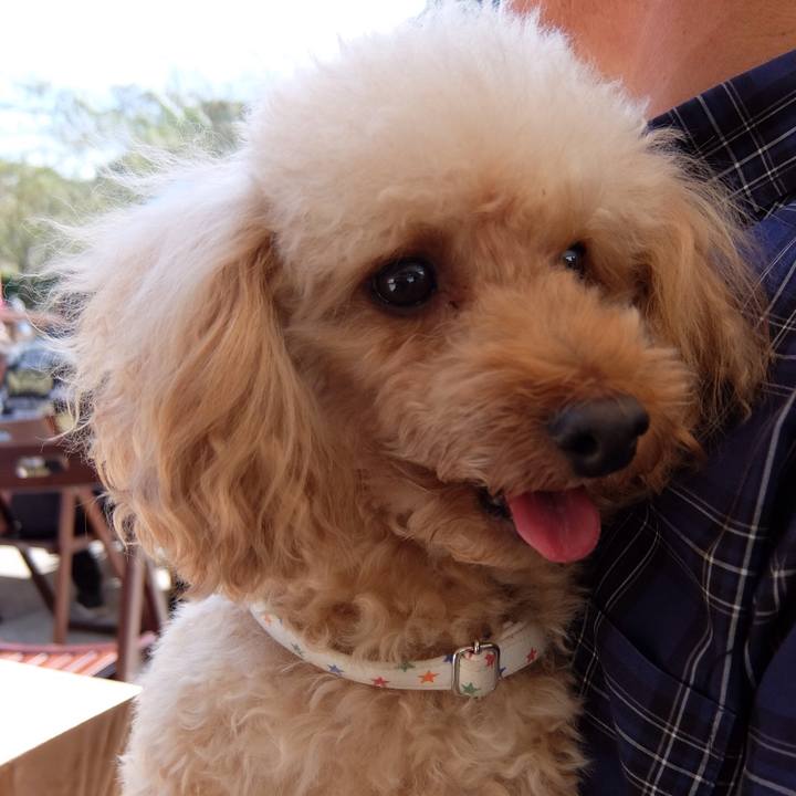 A45743f8 e791 4c94 9e11 473b90908bad 1539952195872