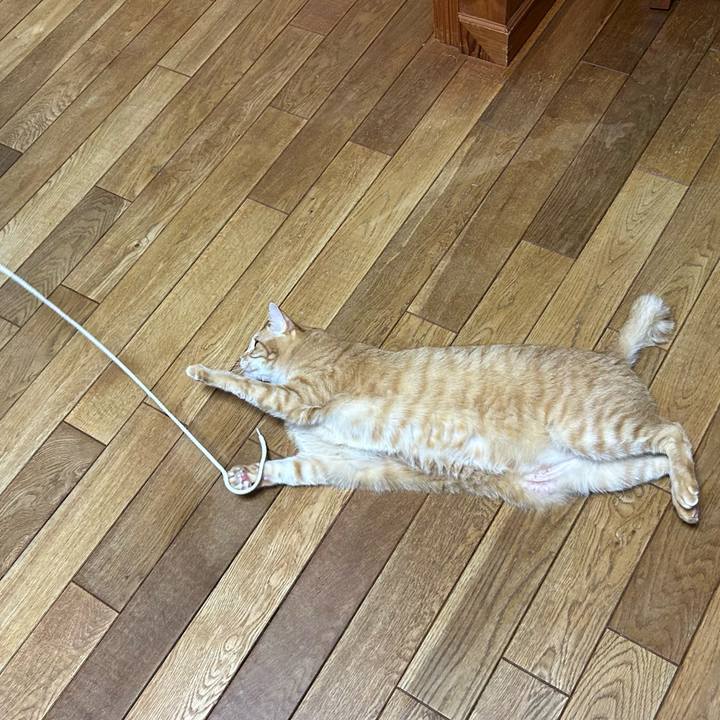 A457c042 e16a 449c a4da 739f5d2b7926 1673668636277