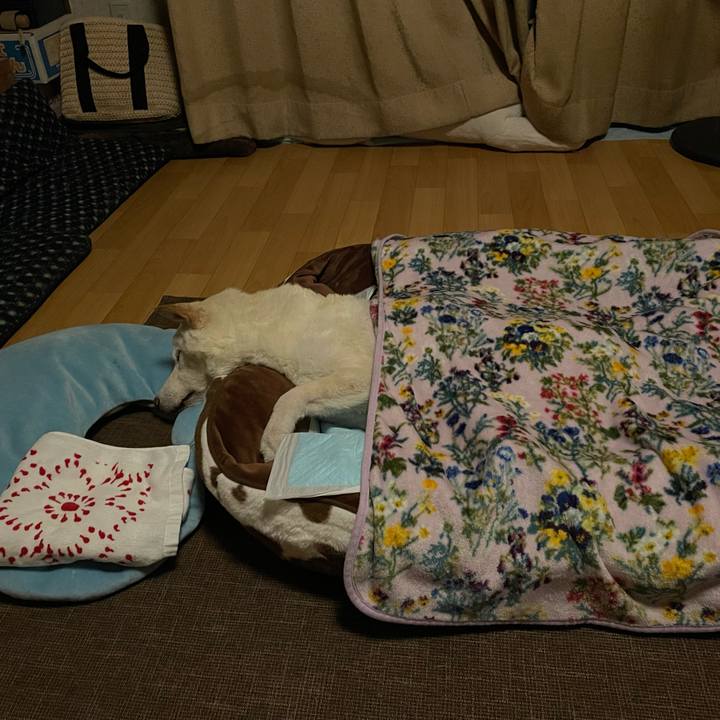 A457e07e 0226 4f2f 88bb f47bb1b0376c 1668010981486