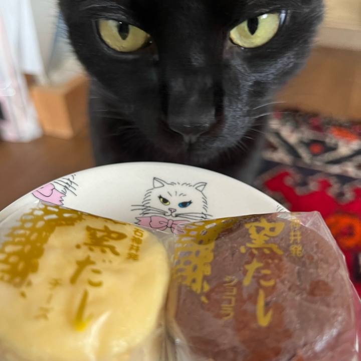 A457e34a 9667 4d8a ba8b fa03cc64847b 1705214588203