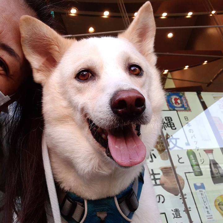 A4580939 eeaf 4ebc 89da 309206ec8c71 1633222893371