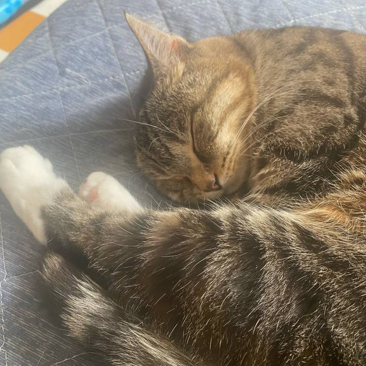 A4583dc1 5963 4f62 9a81 9183c790e210 1746327181441