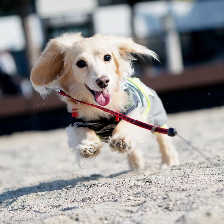 A4584012 8da5 4172 93bd fc0dff87a815 1516533356187