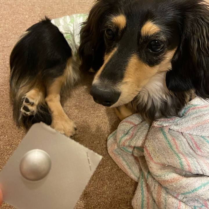 A4586f31 549c 46c2 8f8e 1cc5f6b09548 1690888660188