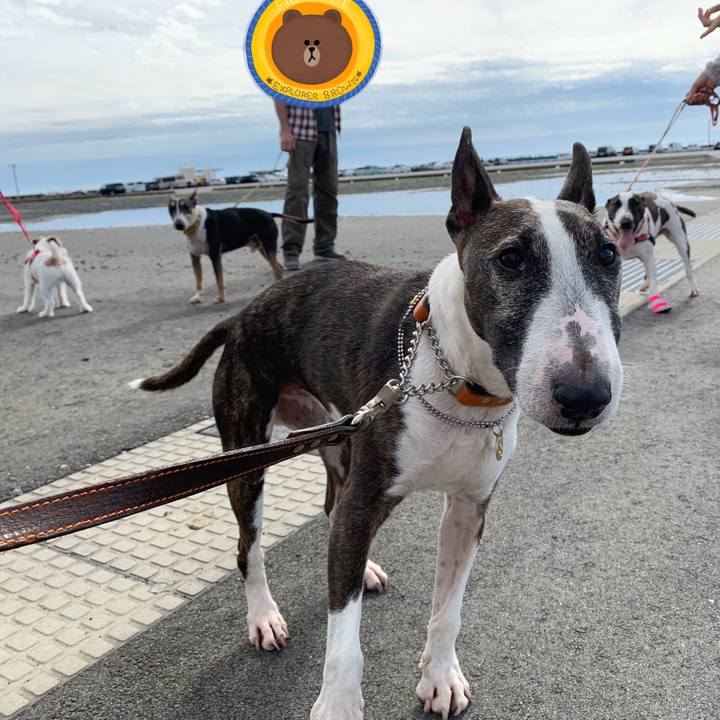 A4587589 07ca 4ee4 aefc aef444d0ece3 1571574333080